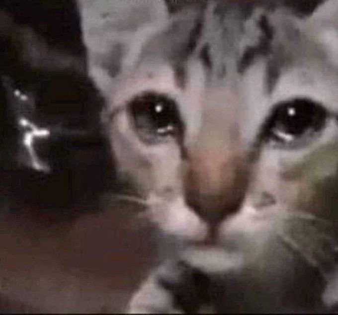 Ατρόμητη tweet media