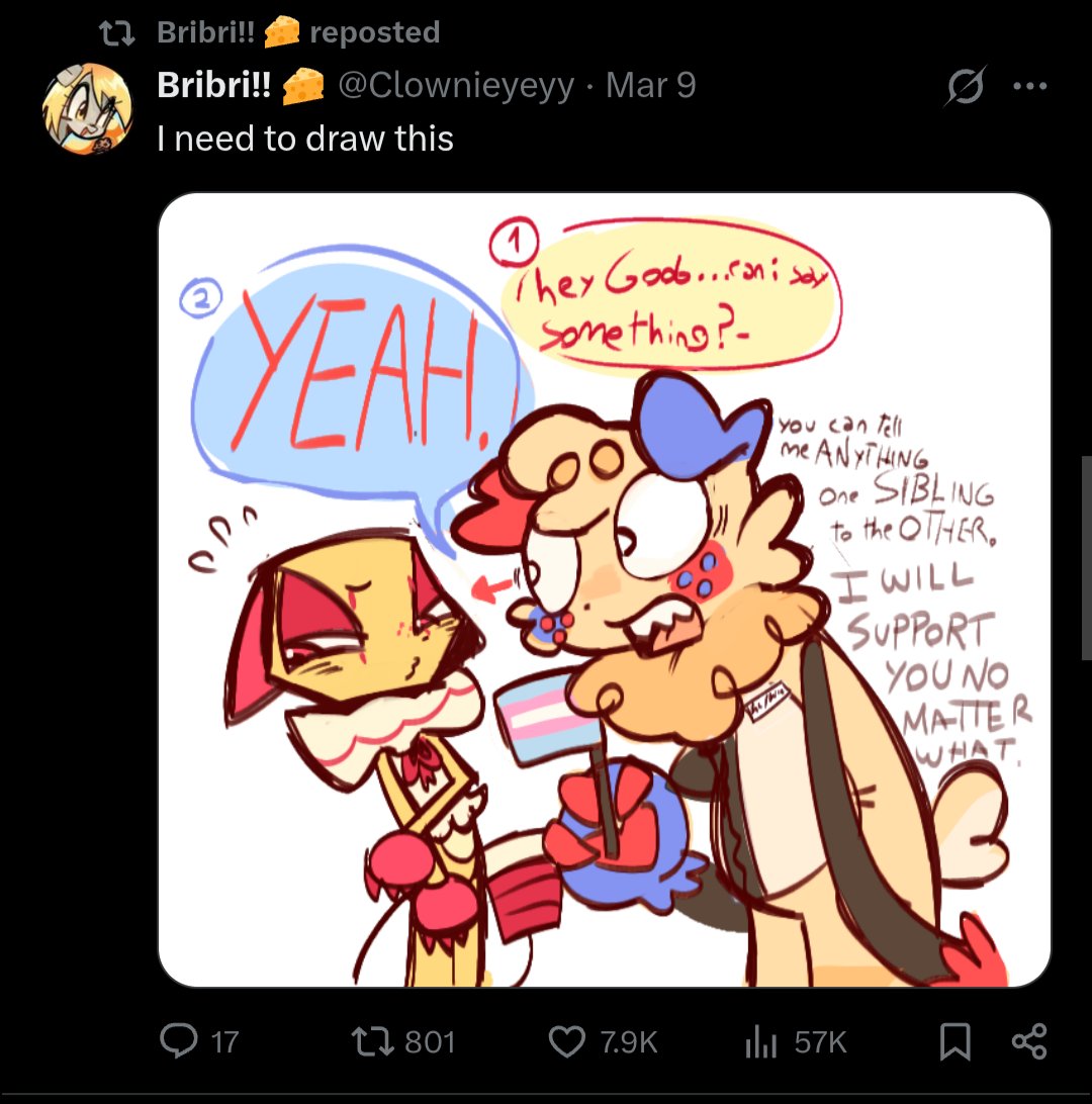 BriBri !! tweet media