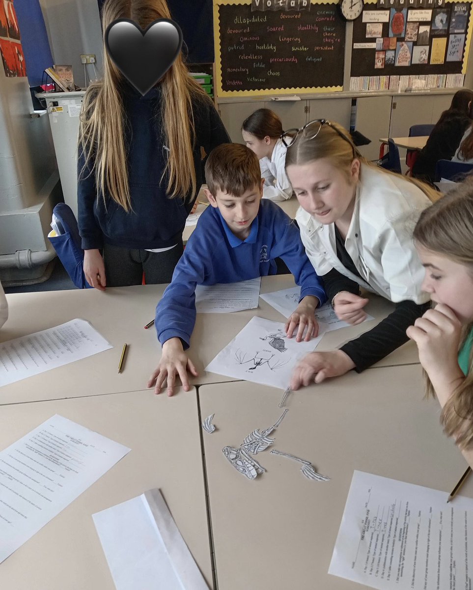 Bilsthorpe Flying High Academy tweet media