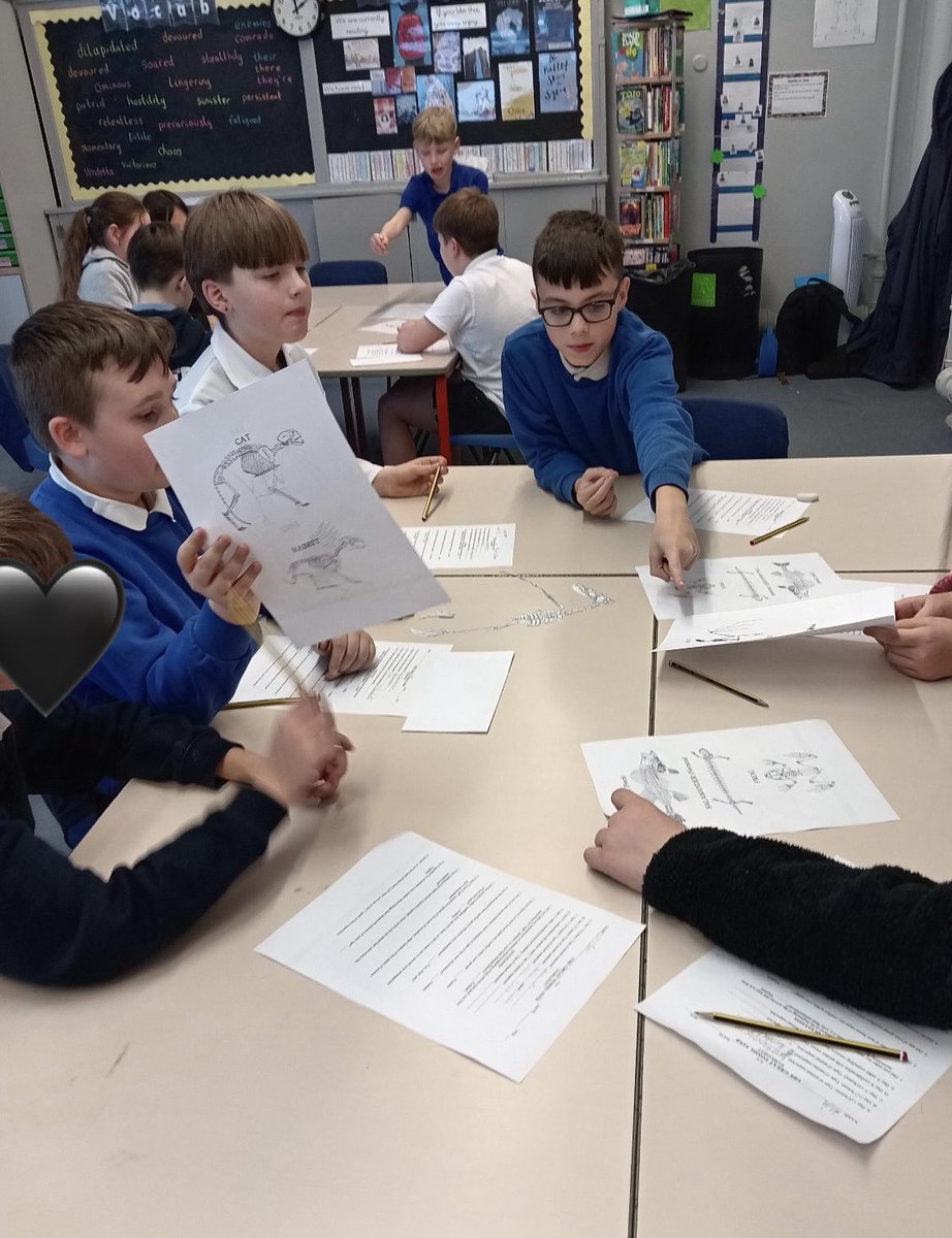 Bilsthorpe Flying High Academy tweet media