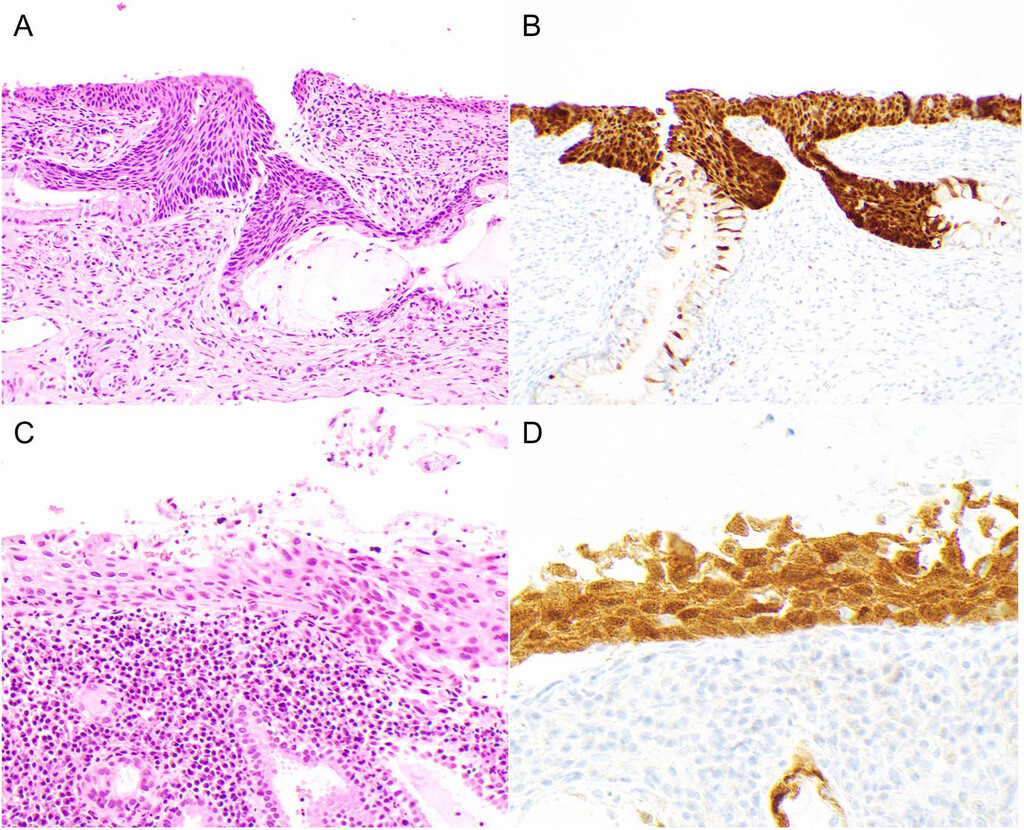 Arch Pathol Lab Med tweet media