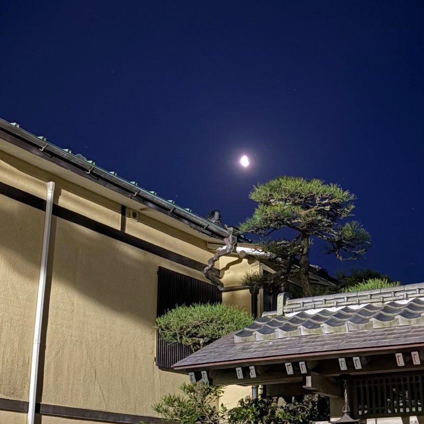 松野 ラム 🐏🍥 tweet media