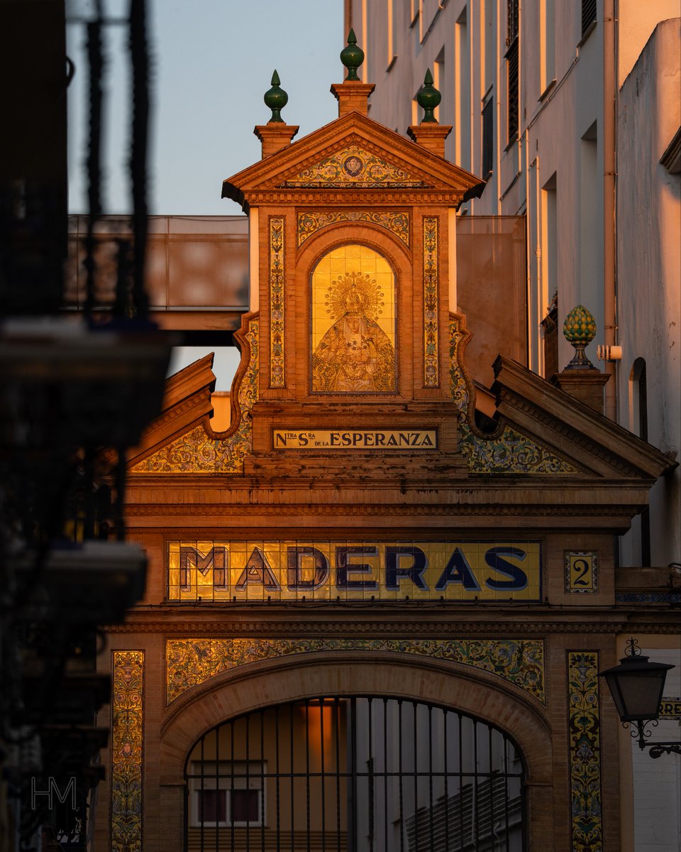 herranmurillo tweet media