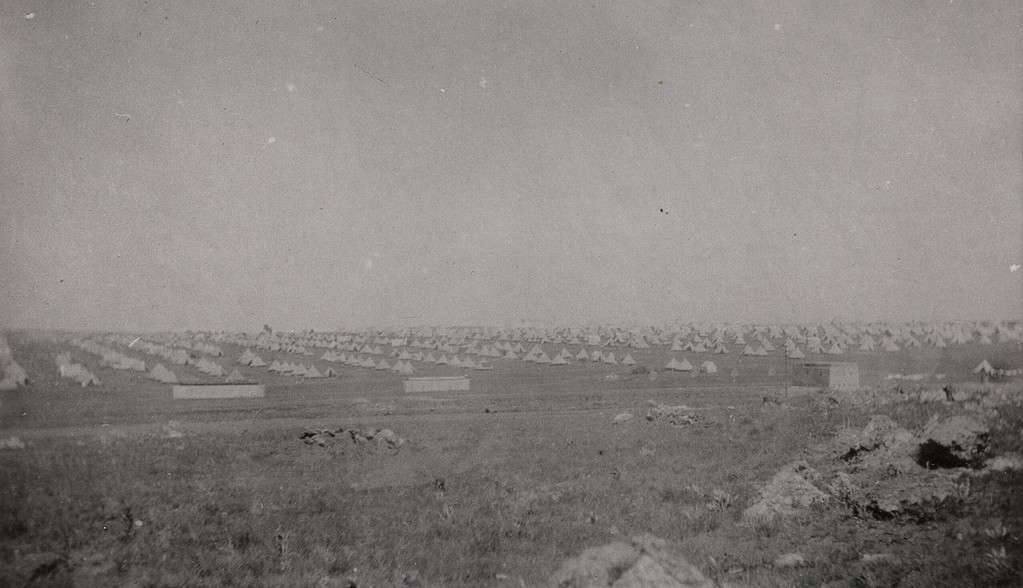 Mike the Warthog tweet media