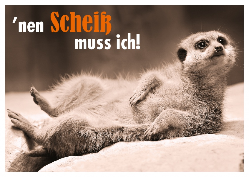 PokemonPapiGO 🇩🇪🤝🇺🇦 tweet media