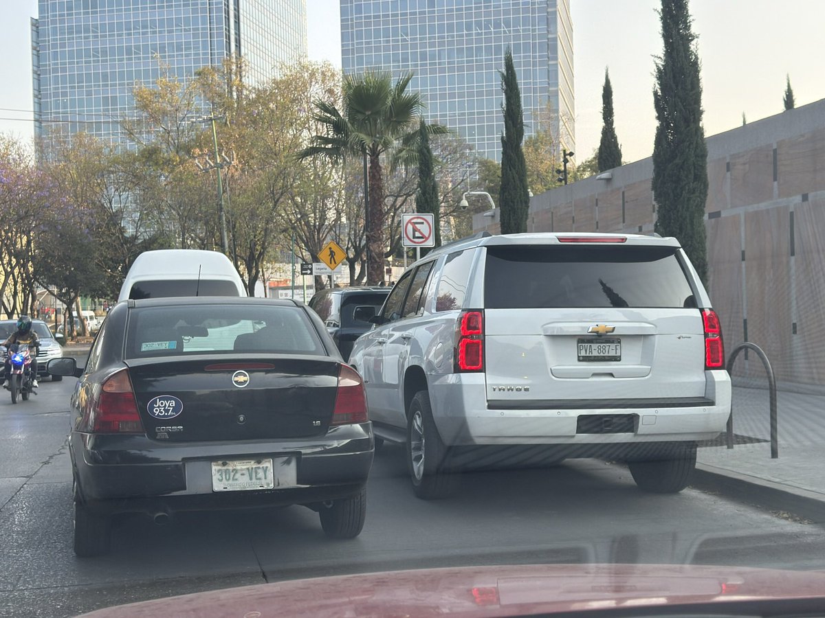 DOMINGO AVILA tweet media