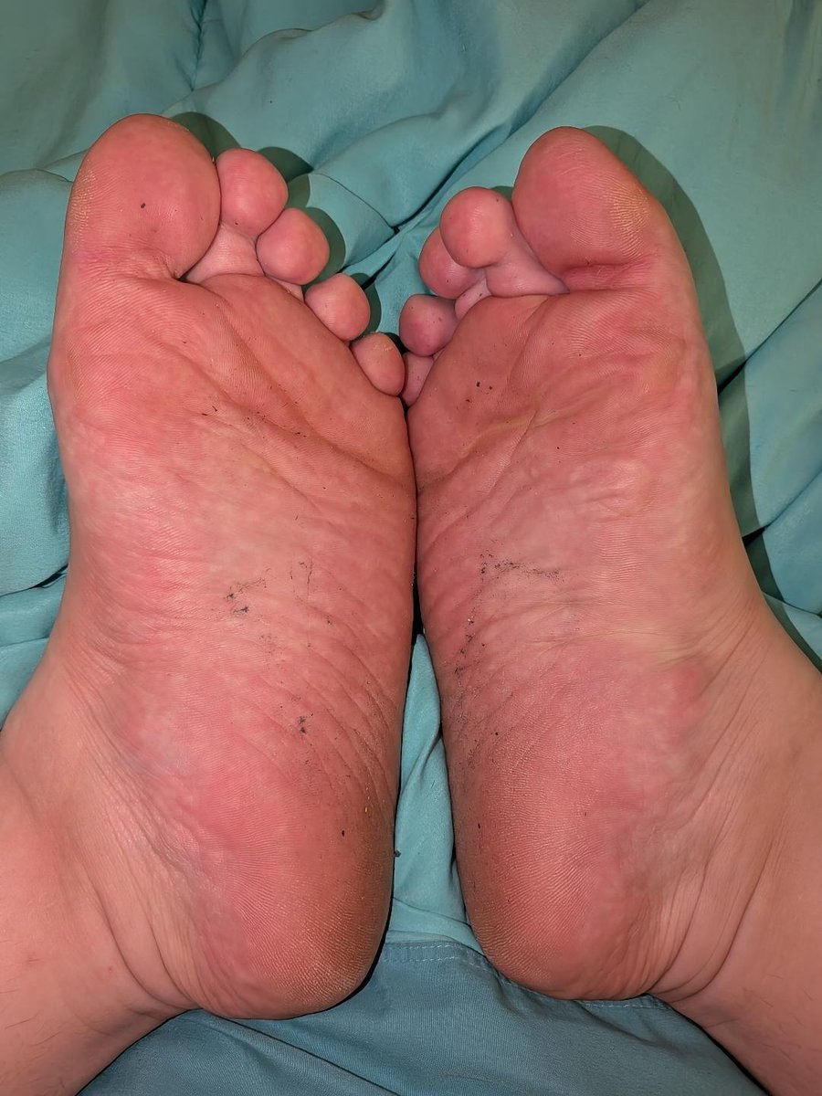 PrincessPanda tweet media