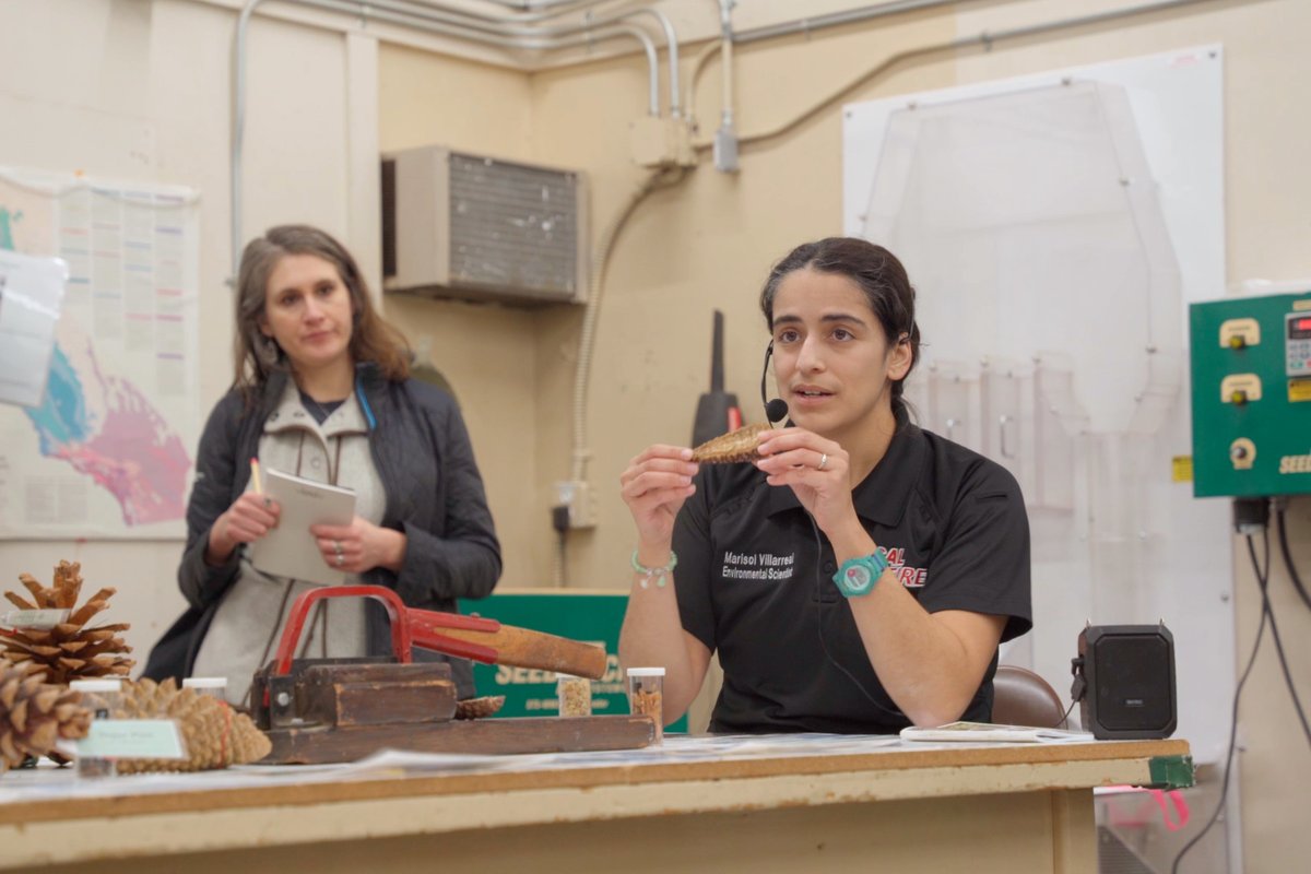 American Forests tweet media