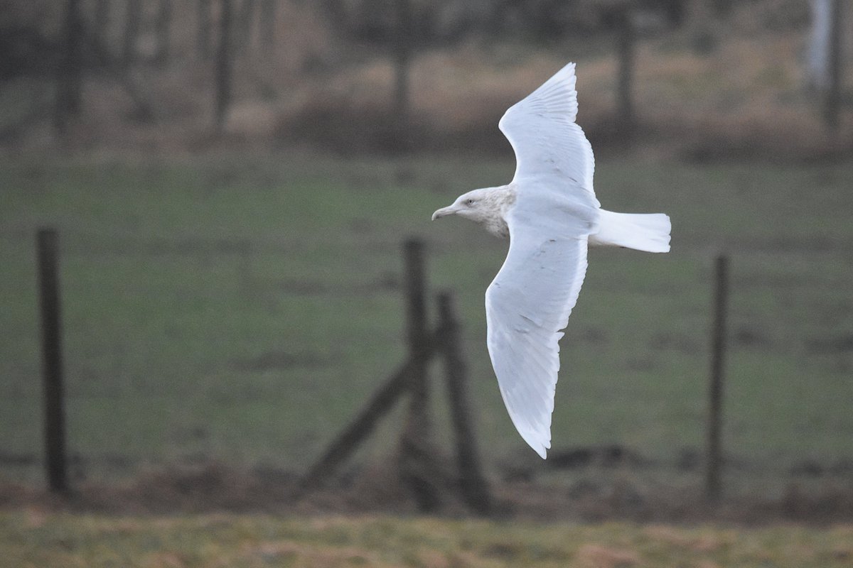 Atle Grimsby tweet media