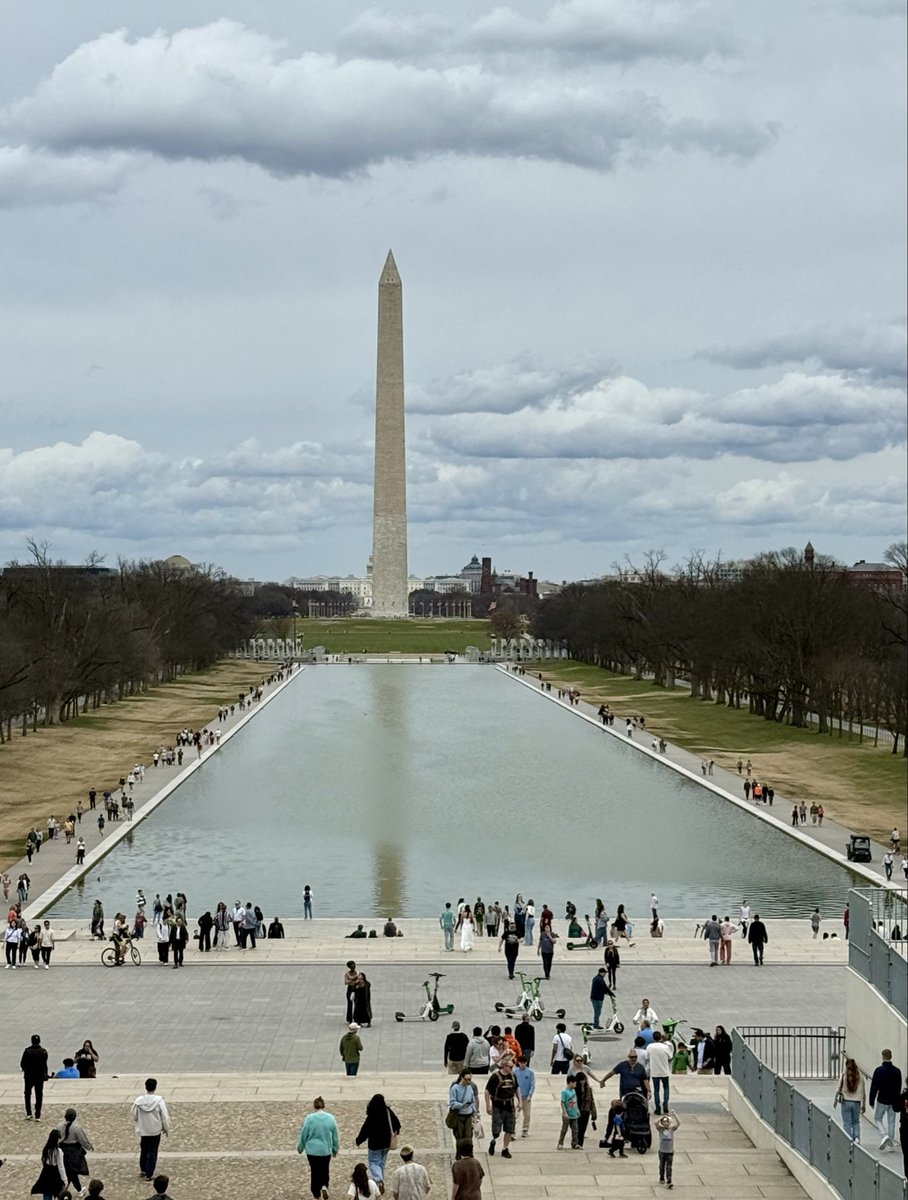 Riccardo De Carlis tweet media