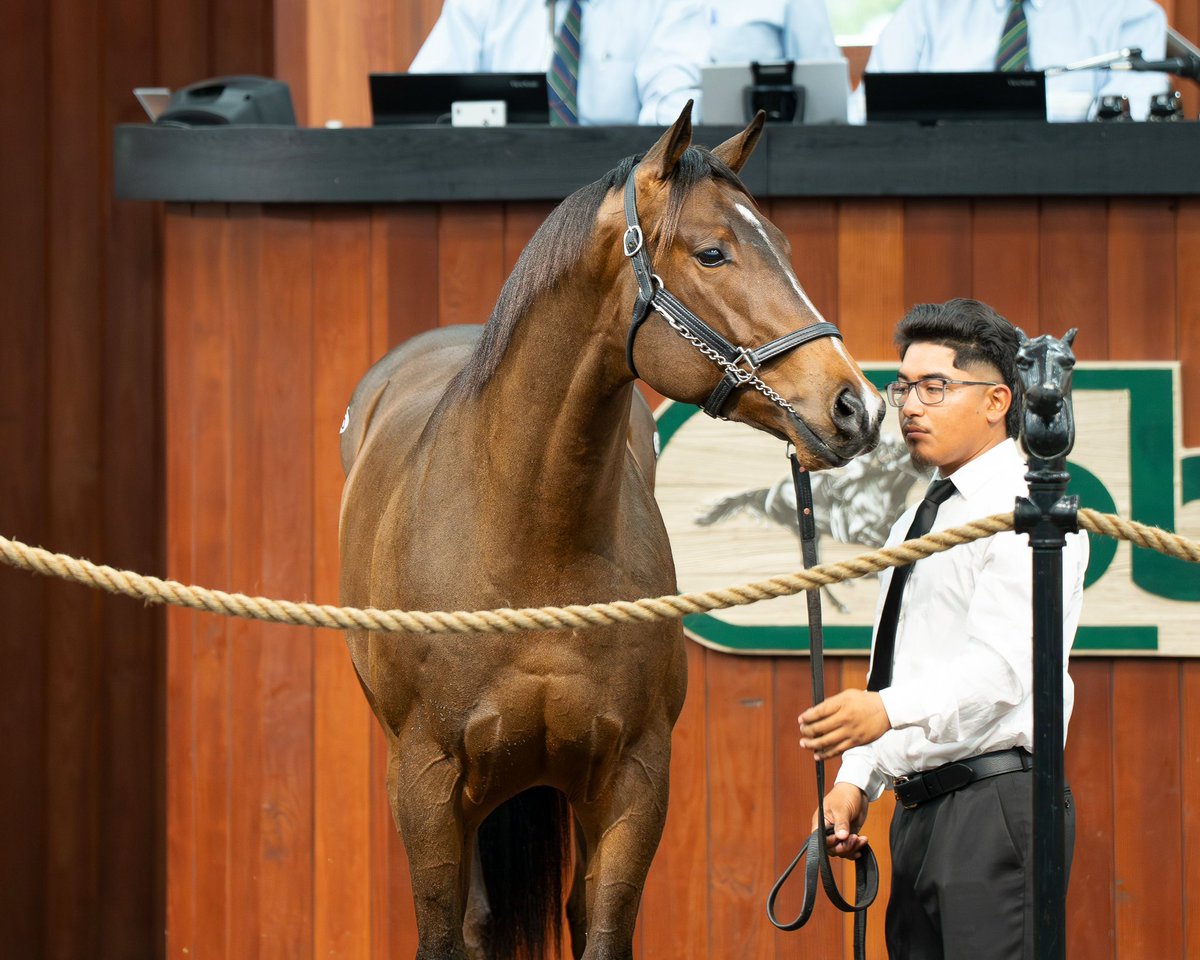 Justify👑 tweet media