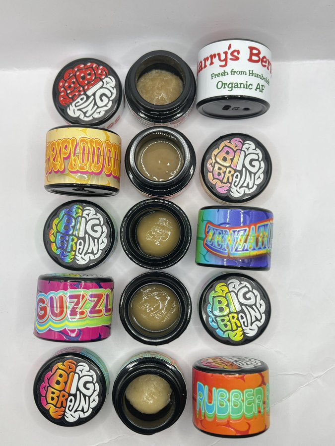 Static Man Hash🍯 tweet media