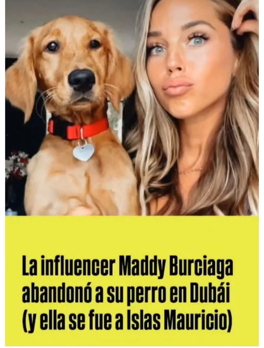 Qué clase de descerebrados hay en el mundo para seguir a estas payasas que su único amor es engañar a la gente para sacarles dinero?
Odio profundamente a estas avariciosas estúpidas sin inteligencia ni empatía, solo codicia, codicia y superficialidad ‼️😡