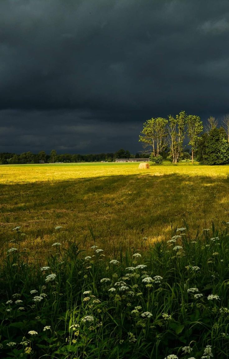 Calineczka࿓ tweet media