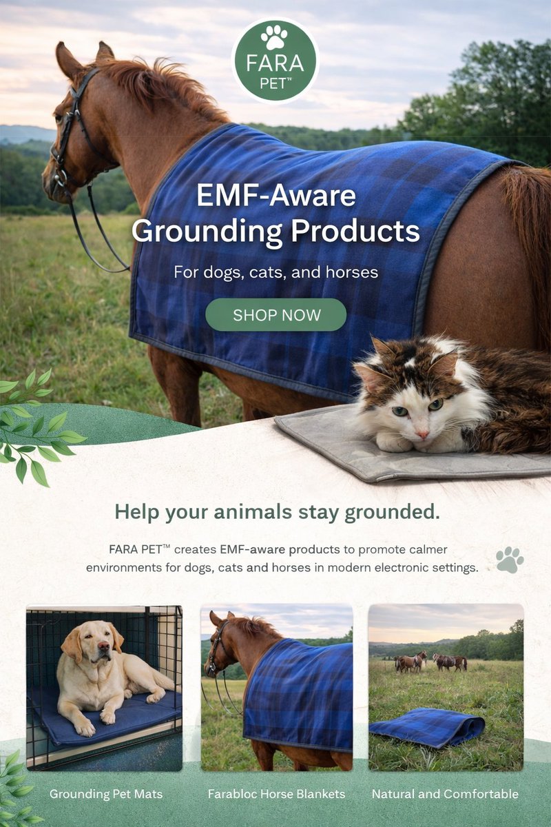 FARA WEAR tweet media