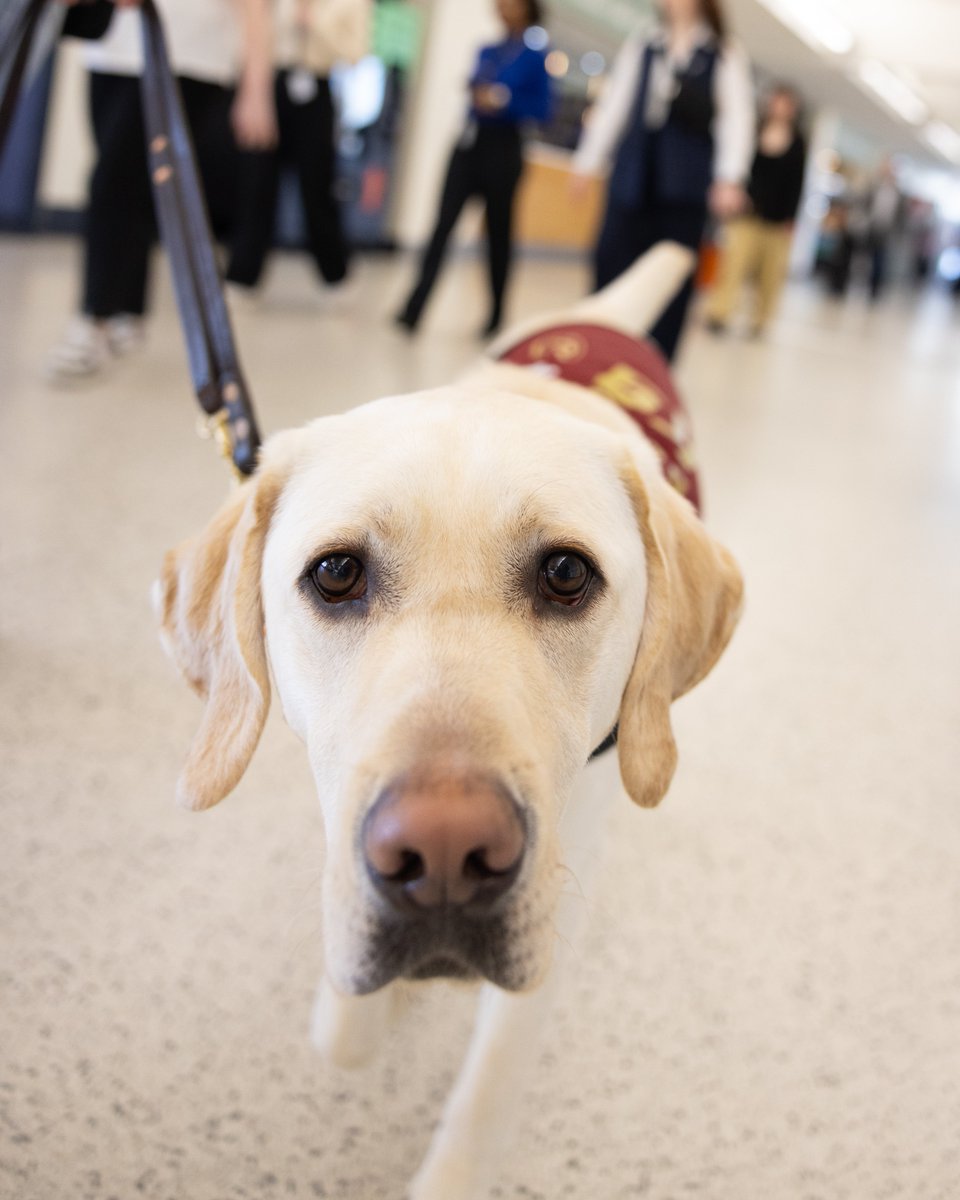 Cavs Care tweet media