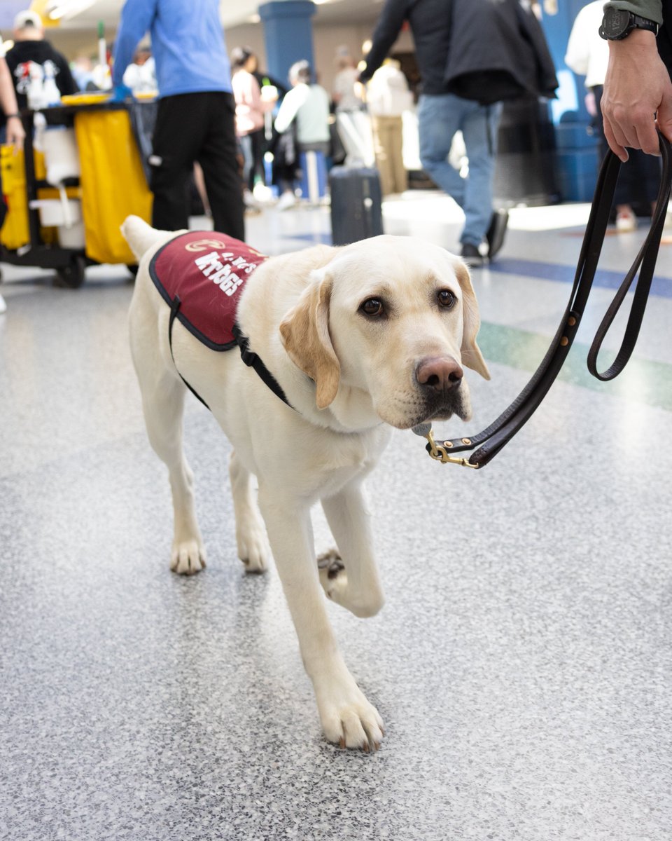 Cavs Care tweet media