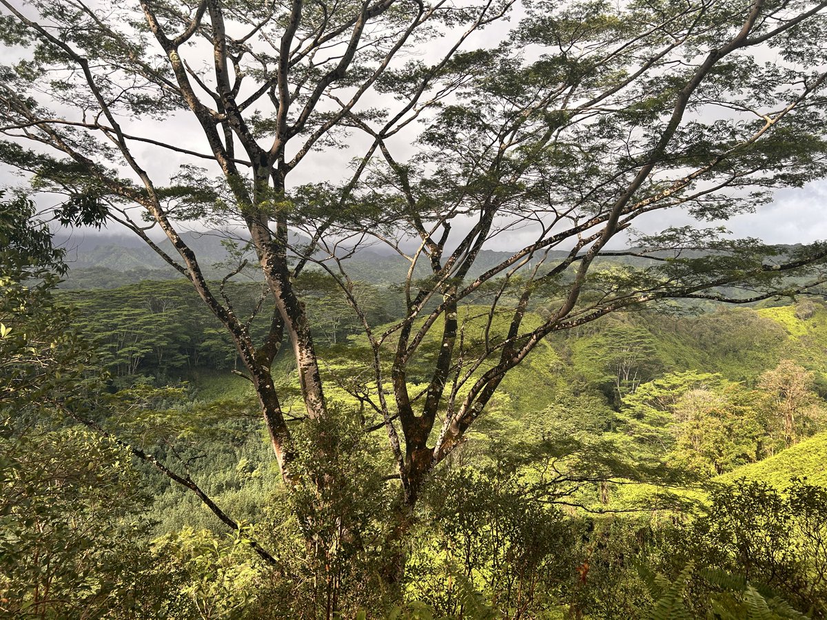 Michael Stewart tweet media