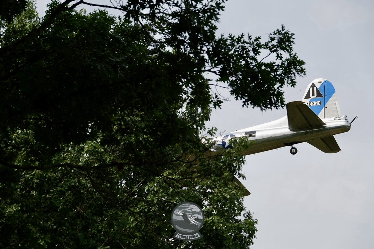 TomcatJunkie🏴‍☠️ tweet media