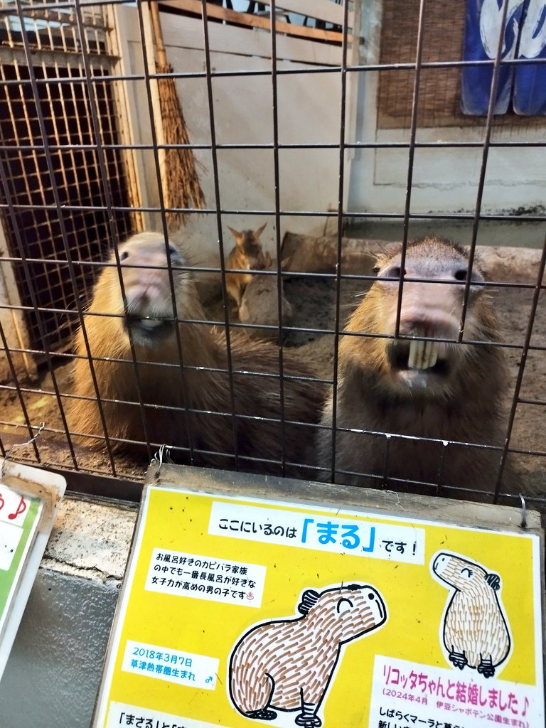 まる君、また会いたかったな