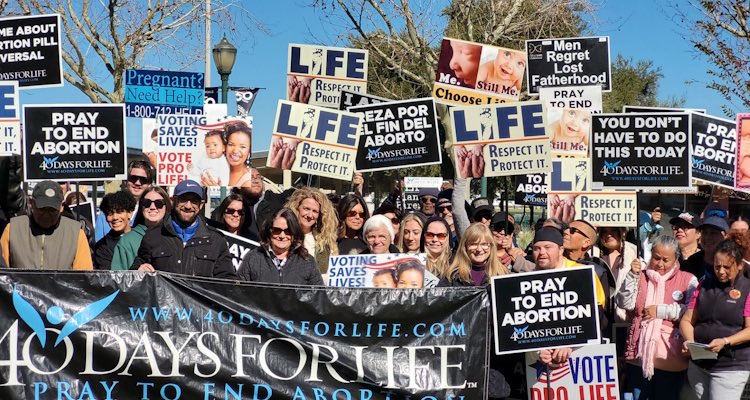 40 Days for Life tweet media