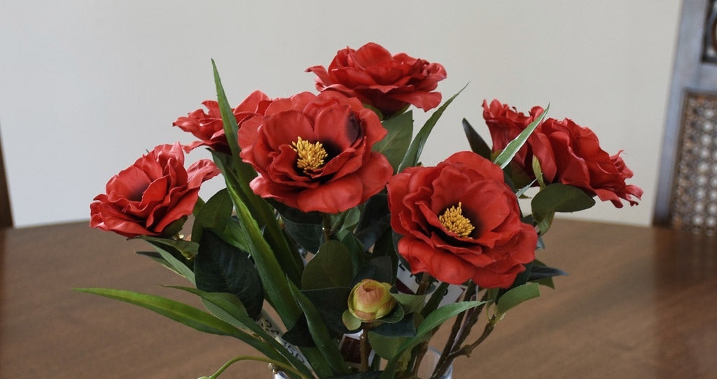 ͏ ͏ ͏ ͏ ͏ ͏ ͏ ͏ ͏ ͏ ͏ ͏ ͏ ͏ ͏ ͏ ͏͏ ͏ ͏ ͏ ͏
͏ ͏ ͏ ͏ ૈ☕️ ּ໋᳝݊  ᛈombo: Lilia! <3

𔓘 𝐑ondelli.
𔓘 𝐕inho.
𔓘 𝐂amélias.
𔓘 𝐅unko POP! do Steve.

Em dedicatória a: <a href="/liriiossj/">𝐌𝐚𝐨𝐦𝐚𝐨</a> ♡
(sugestão de apresentação: )