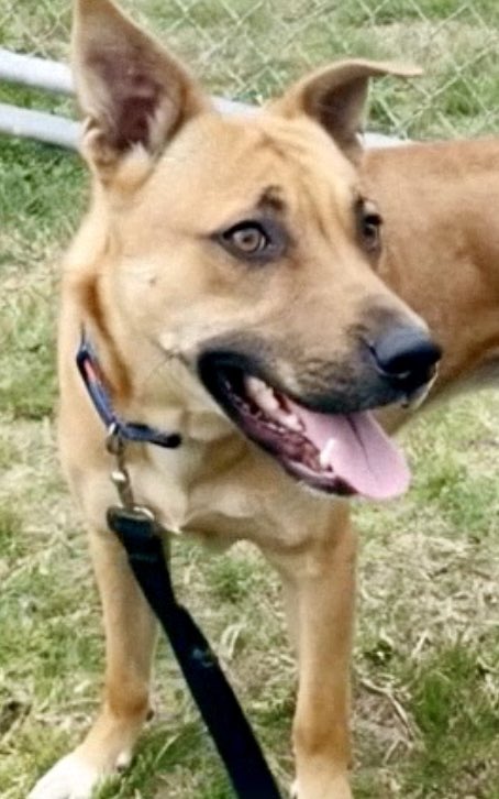 Cheryl Ramirez tweet media