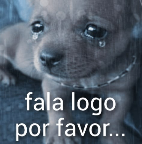 Daishikawa tweet media