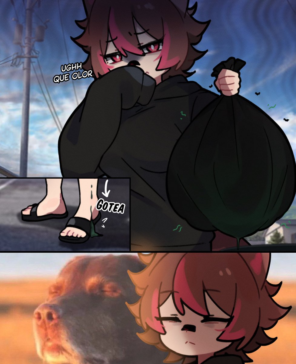 Rakkun 🦝🍀 tweet media