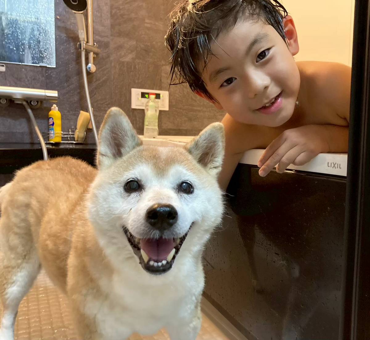 AkAVceDyN4QgGH7's tweet photo. おはようございます☀
お風呂大嫌いなのに😅息子が心配で一緒に入って見守り中🐶🌈
#柴犬チャコ #ぼくのいぬはどうしてこんなにかわいいのか #君とずっともっとギュッと #秘密結社老犬倶楽部天国支部 #ロウケンズ応援団 https://t.co/iOdGRN6dCt