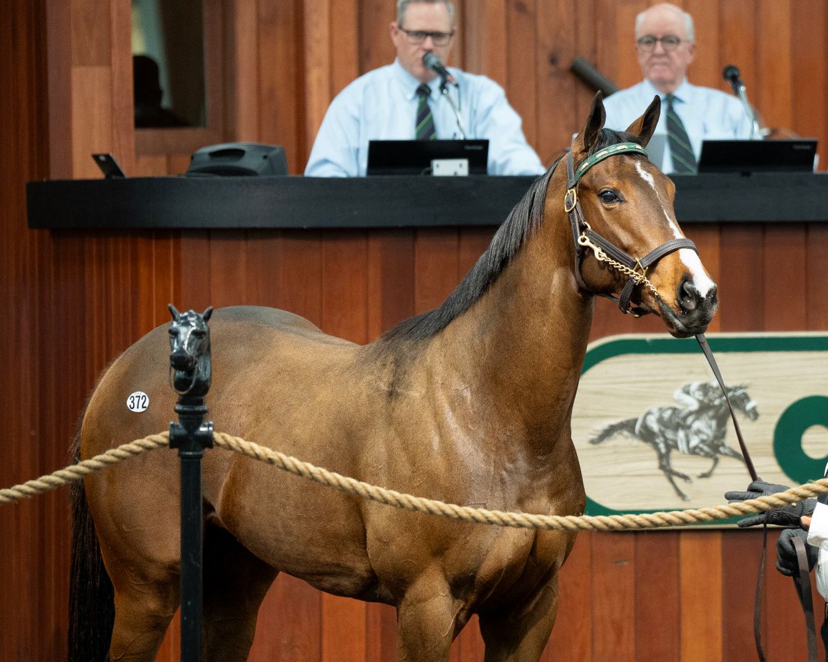 OBSSales tweet media