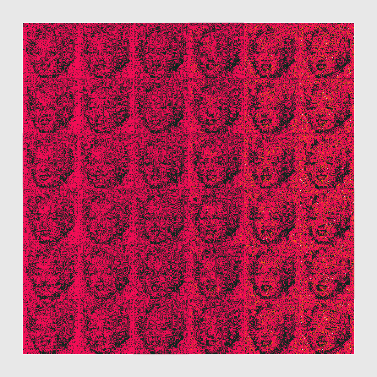 javi 🇨🇴☕️ tweet media