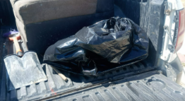 SIAP León tweet media