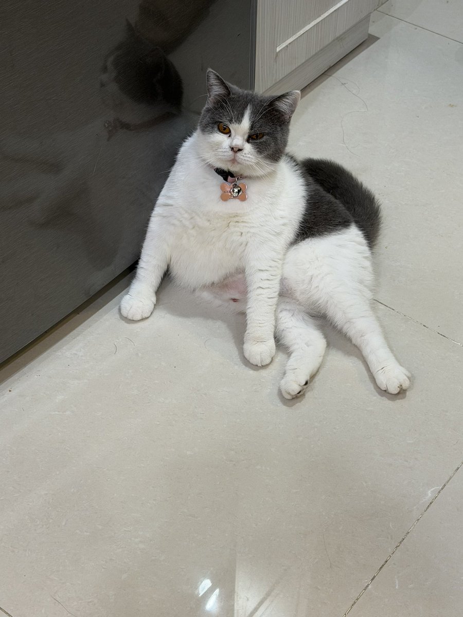 yourminbite tweet media