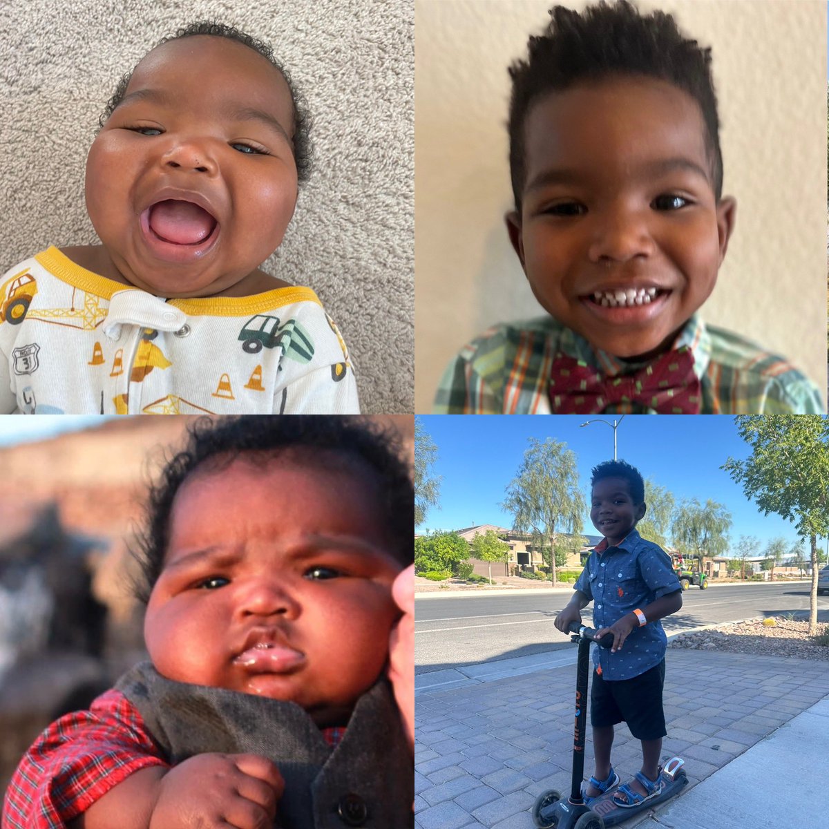 Tyler Todt tweet media