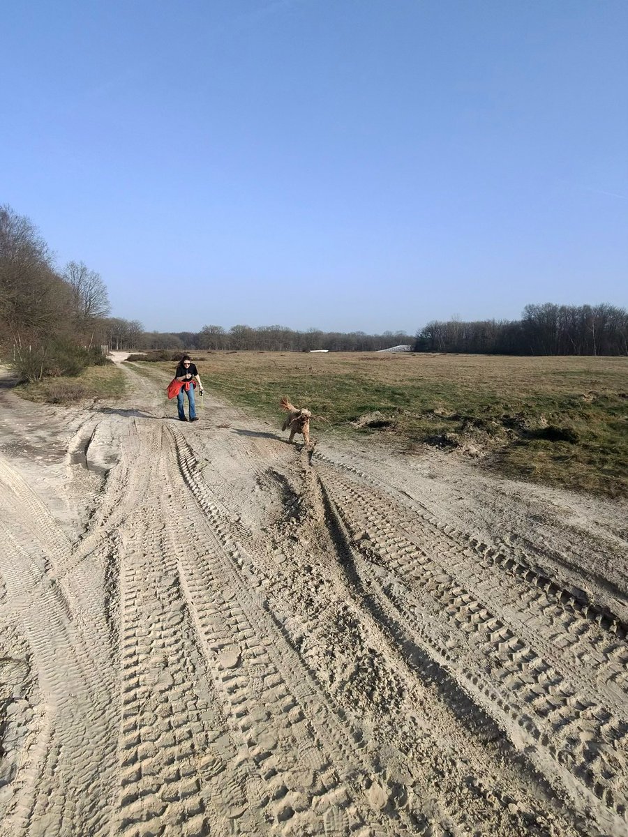 ⛰︎𝕏𝕏⛰︎ tweet media