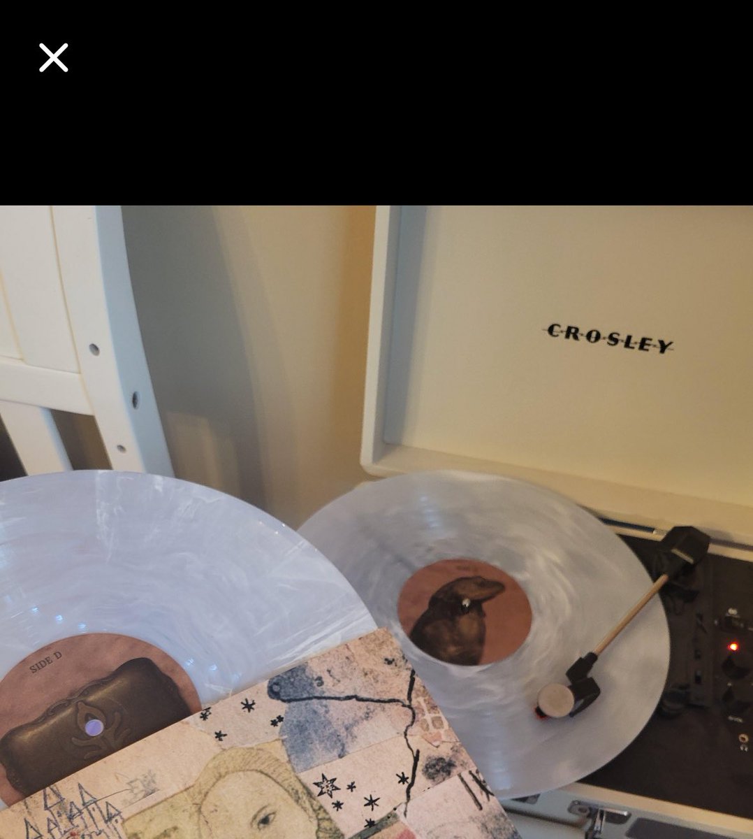 luna 𓆤 og crybaby tweet media