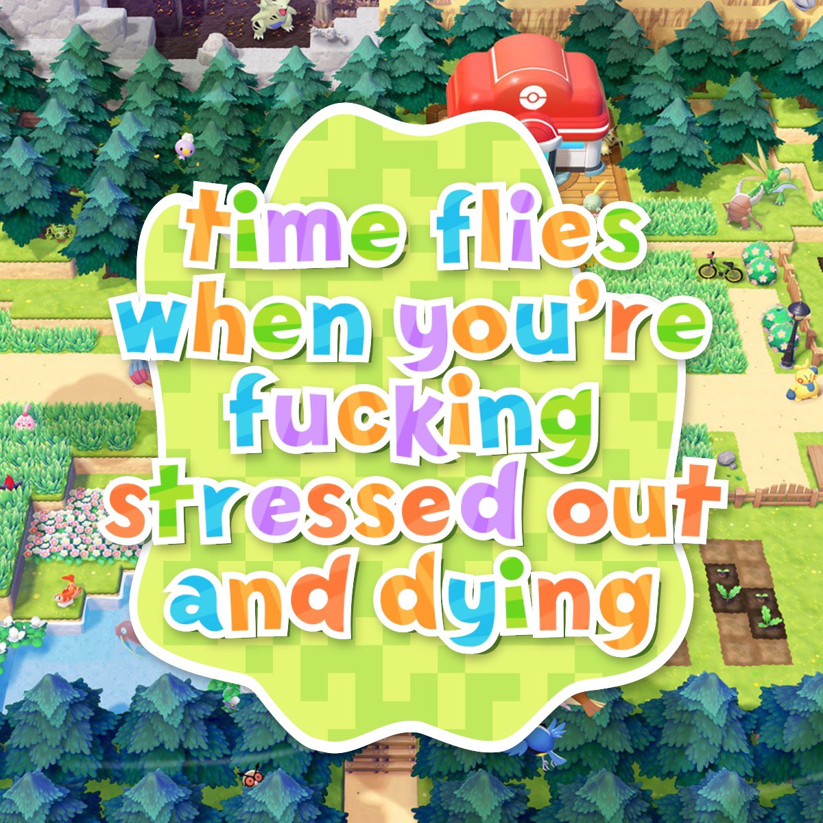 rosella leigh 🍋 tweet media