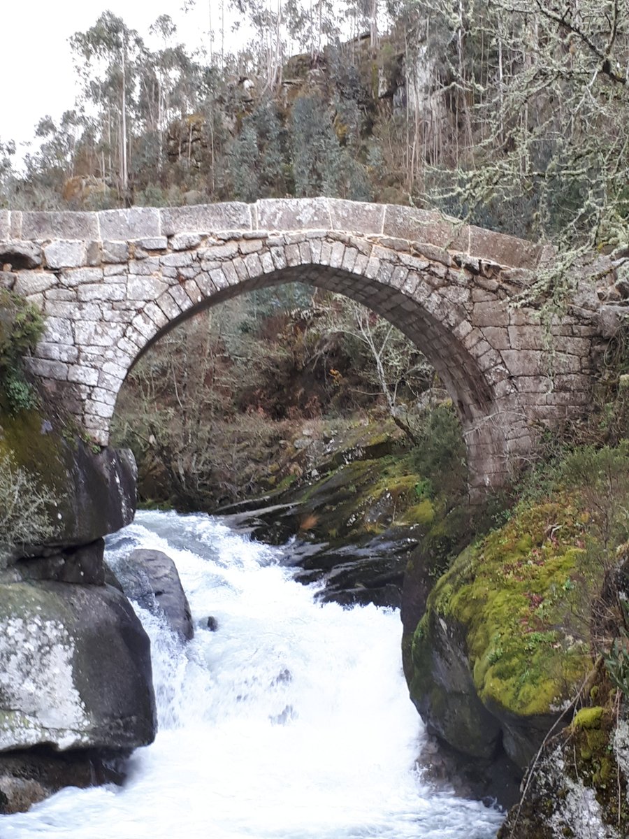 S A N T I tweet media