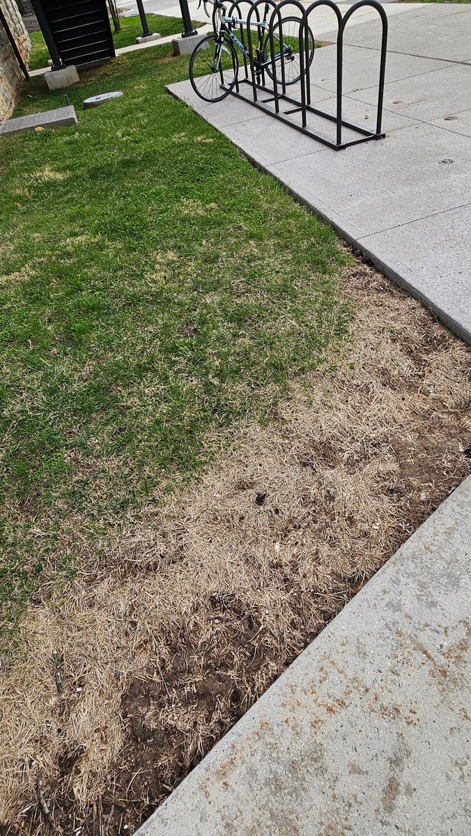 Mike Goatley tweet media