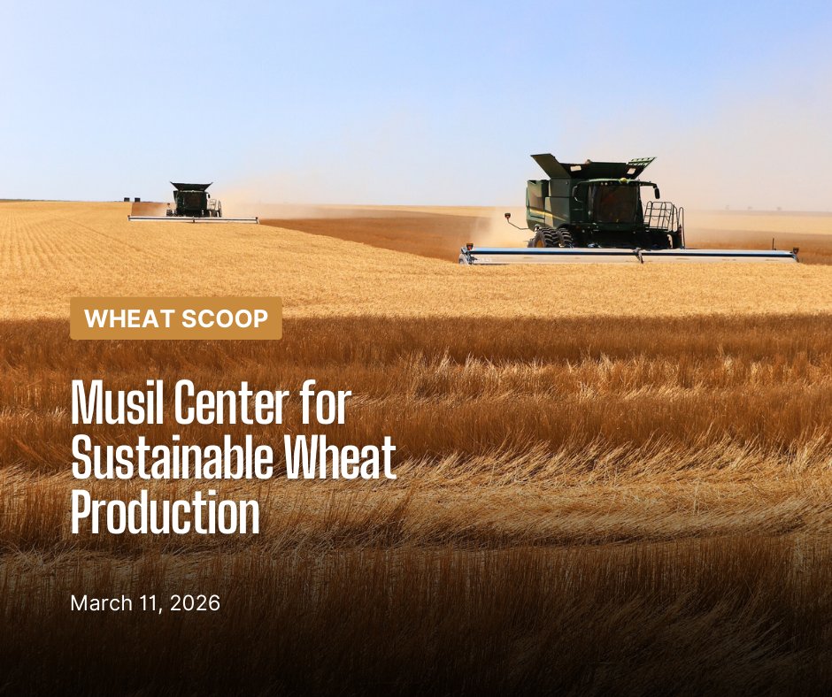 KansasWheat tweet media