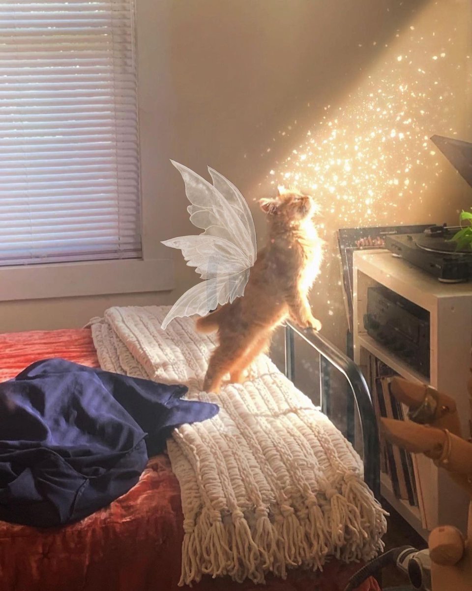 cutedreamvibes's tweet photo. https://t.co/KeIwNfUZrK