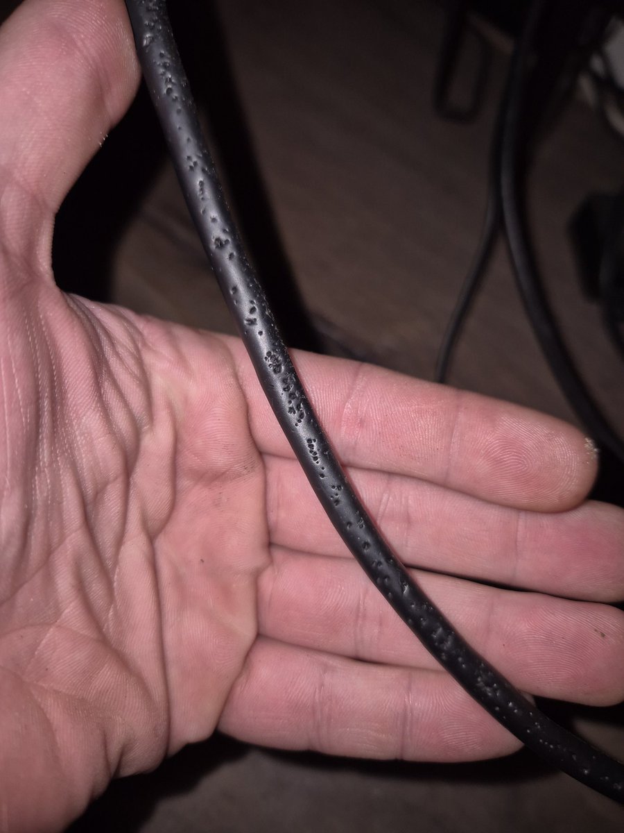 Daan Koopen tweet media