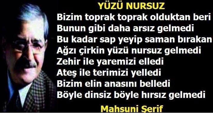 Baybest tweet media