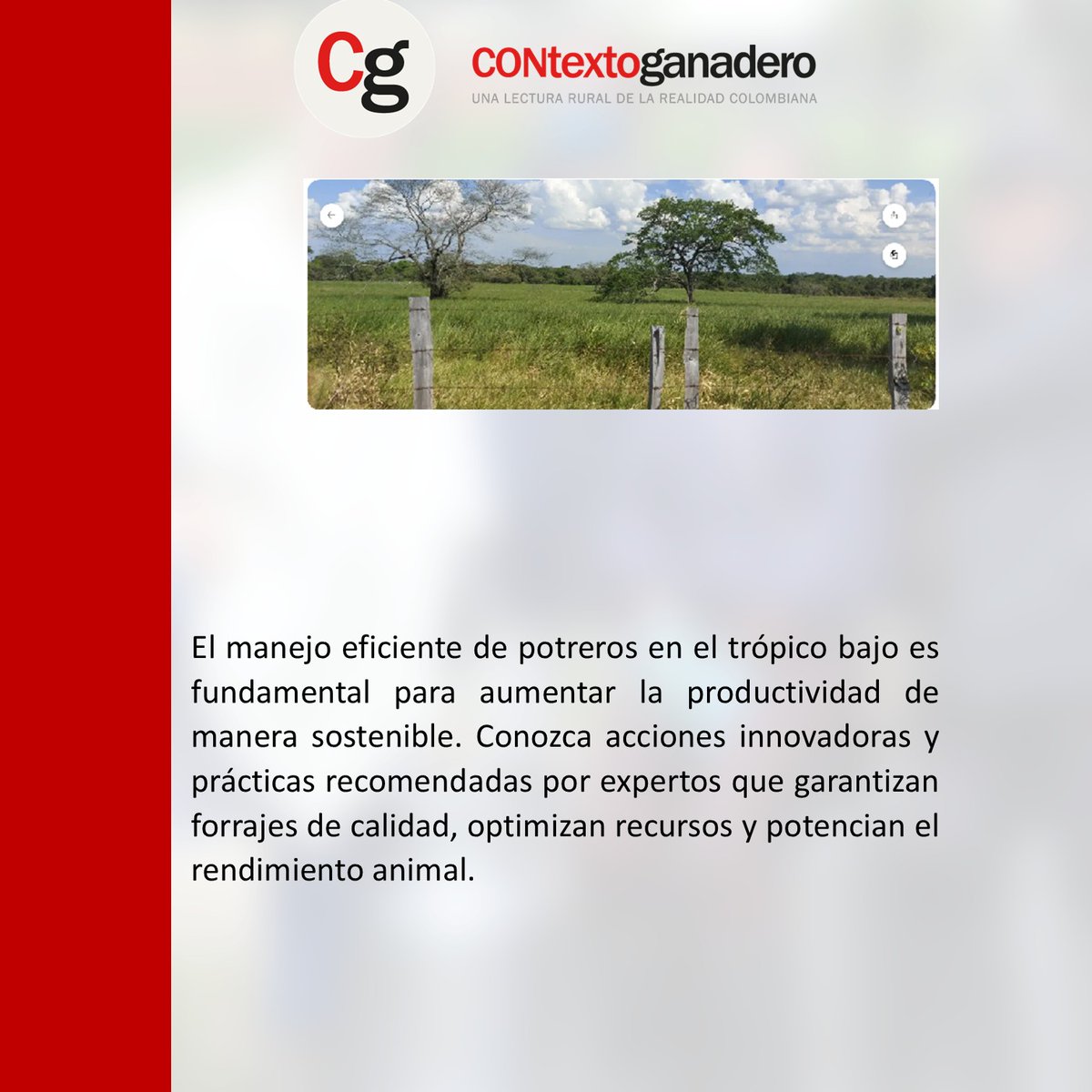 La Primavera Pasion Ganadera tweet media