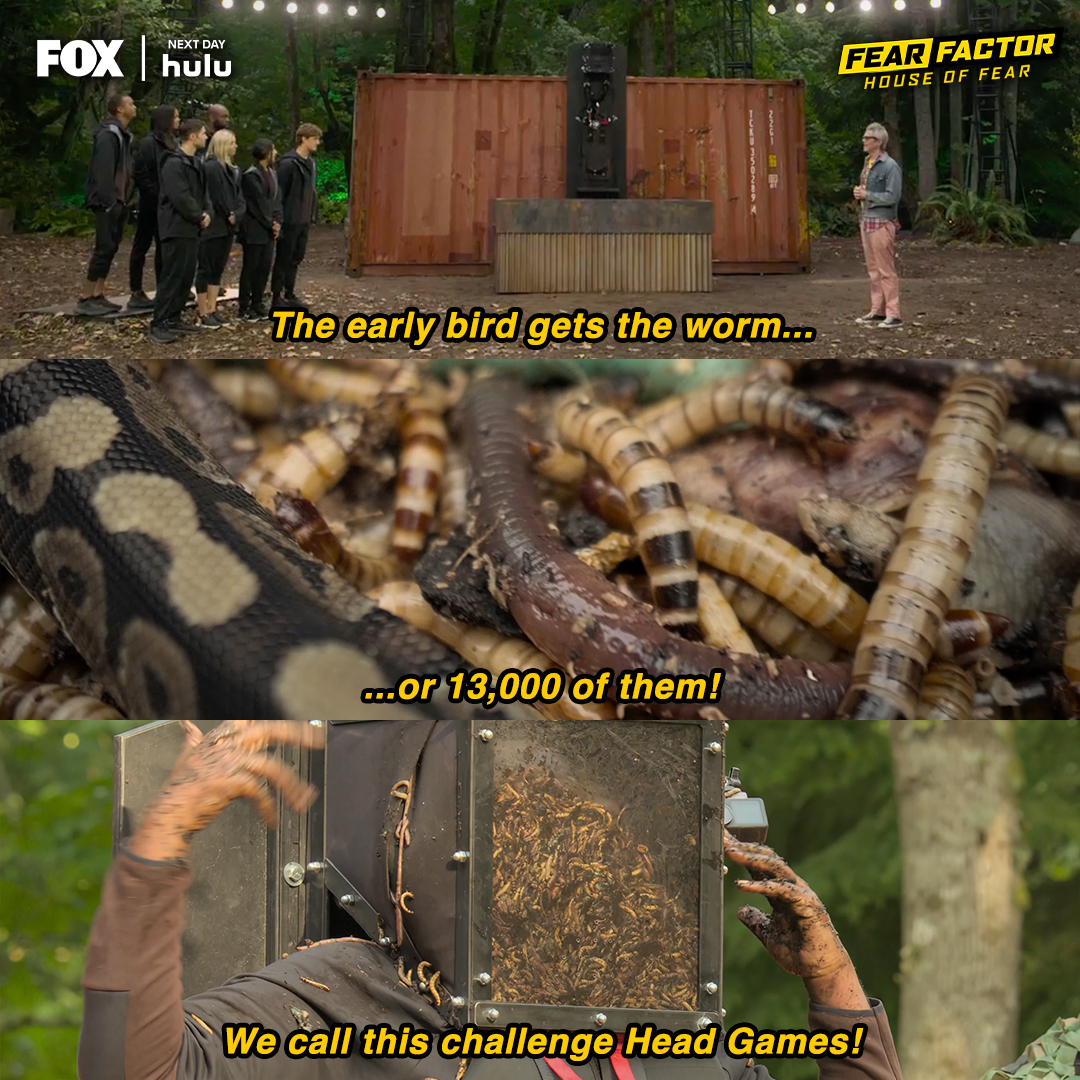 Fear Factor tweet media