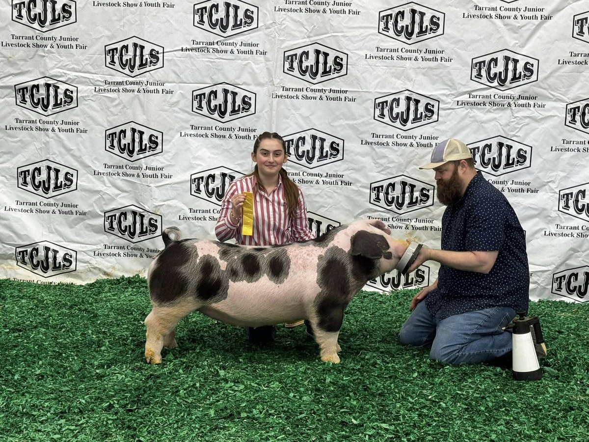 wsisdschools's tweet image. 🥇🐖🐷Throwback to last month when @brewerhighwsisd FFA swine exhibitors earned numerous ribbons at the Tarrant County Junior Livestock Show! wsisd.com/all-news/defau… #CTE