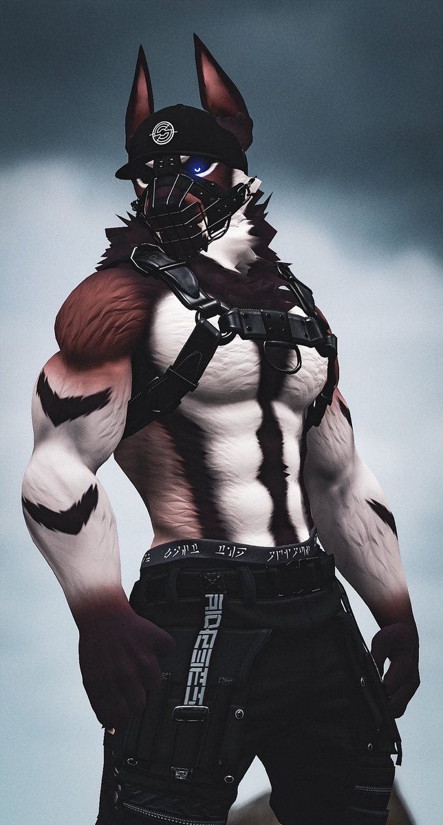 lycaious tweet media