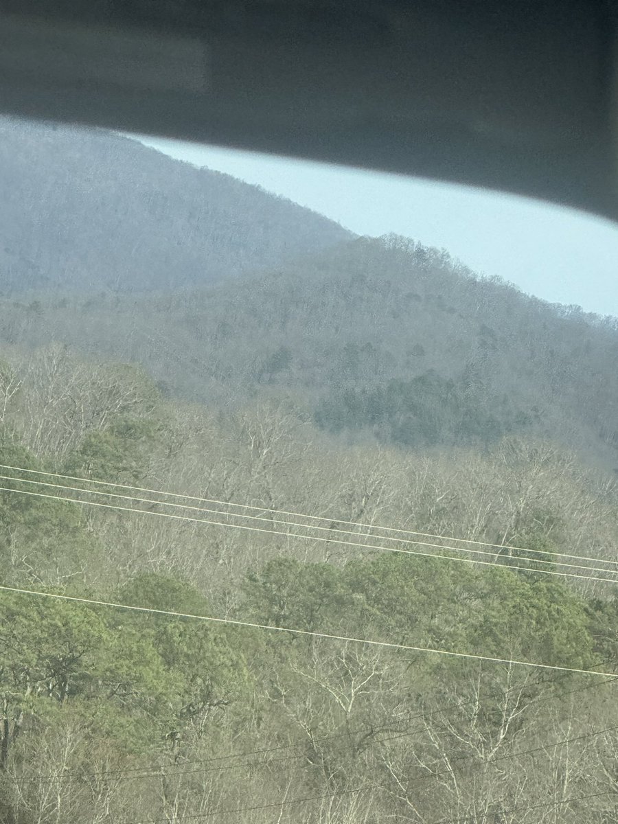 network ninja tweet media