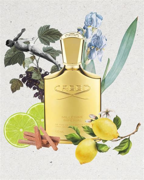 Power Nelson tweet media